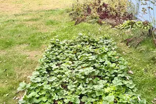 20091 Red Wing Blvd, Hastings, MN 55033 - Photo 54