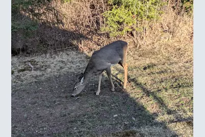 94241 S Net Lake Road, Holyoke, MN 55749 - Photo 52