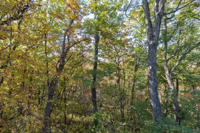 W10780 468th Avenue, Prescott, WI 54021 - Photo 36