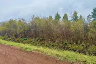 Tbd 390th St, Aitkin, MN 56431 - Photo 1