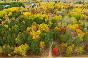 15769 169th Ave, Park Rapids, MN 56470 - Photo 30