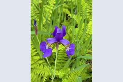 4350 River Road S, Afton, MN 55001 - Photo 100