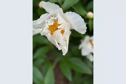 4350 River Road S, Afton, MN 55001 - Photo 102