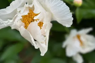 4350 River Rd S, Afton, MN 55001 - Photo 102