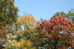 4350 River Rd S, Afton, MN 55001 - Photo 70