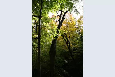 4350 River Road S, Afton, MN 55001 - Photo 72