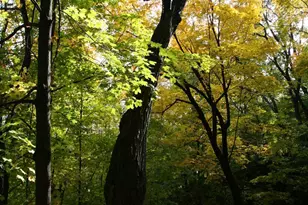 4350 River Rd S, Afton, MN 55001 - Photo 72