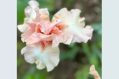 4350 River Road S, Afton, MN 55001 - Photo 98