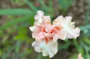 4350 River Rd S, Afton, MN 55001 - Photo 98