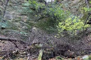 4350 River Rd S, Afton, MN 55001 - Photo 78