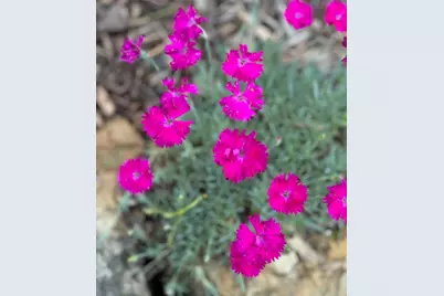 4350 River Road S, Afton, MN 55001 - Photo 96