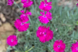 4350 River Rd S, Afton, MN 55001 - Photo 96