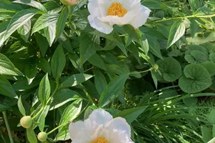 4350 River Rd S, Afton, MN 55001 - Photo 92