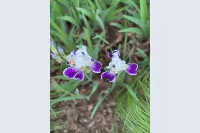 4350 River Road S, Afton, MN 55001 - Photo 94