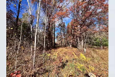 Tbd E Clark Lake Road, Nisswa, MN 56468 - Photo 1