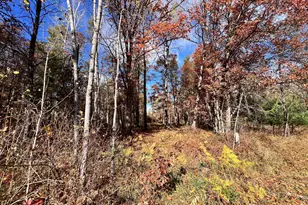 25668 E Clark Lake Rd, Nisswa, MN 56468 - Photo 1