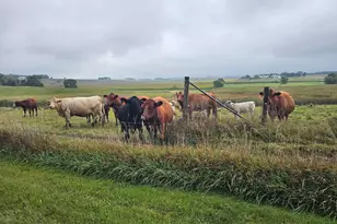 200 Spring View Dr, Edgerton, MN 56128 - Photo 42