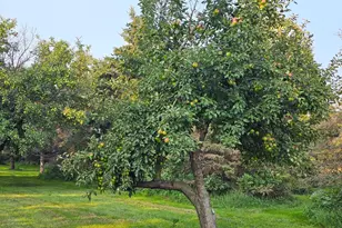 200 Spring View Dr, Edgerton, MN 56128 - Photo 36