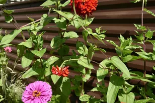 500 2nd St NE, Milaca, MN 56353 - Photo 18