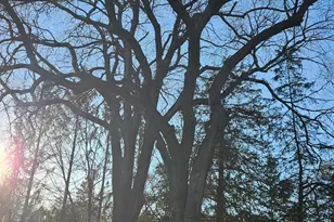 5920 Hodgson Rd, Shoreview, MN 55126 - Photo 1