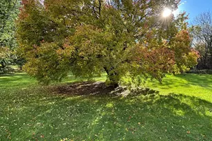 46279 193rd St, Morris, MN 56267 - Photo 8