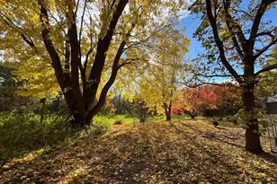 46279 193rd St, Morris, MN 56267 - Photo 12