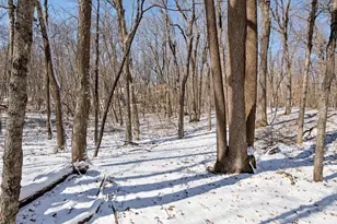 4109 N Shore Dr, Orono, MN 55364 - Photo 102