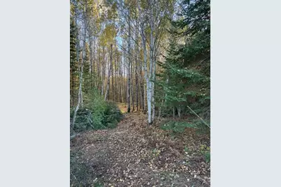 Parcel 13 Tbd Hwy 115, Tower, MN 55790 - Photo 8