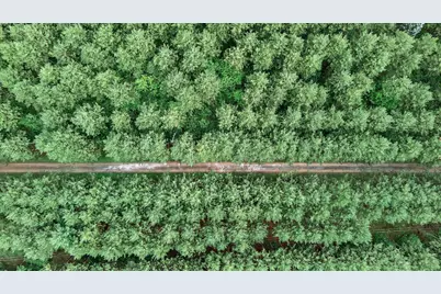 5150 417th Street, North Branch, MN 55056 - Photo 32