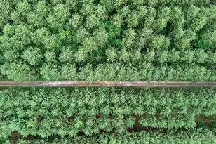 5150 417th St, North Branch, MN 55056 - Photo 32