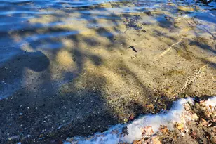 42219 Sugar Maple Dr, Ottertail, MN 56571 - Photo 16