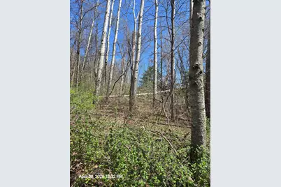 401 Oak Drive NW, Preston, MN 55965 - Photo 8