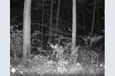 330th Street 330th Street, Onamia, MN 56359 - Photo 1