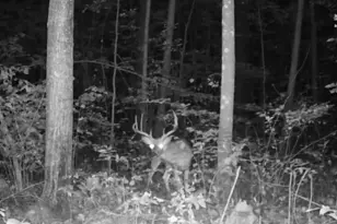 330th Street 330th St, Onamia, MN 56359 - Photo 1