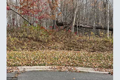 Lot 16 Wilderness Hills Lane, Luck, WI 54853 - Photo 2