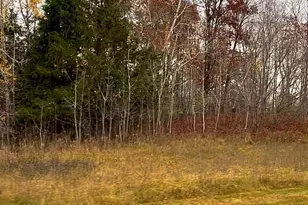 Lot 8 Wilderness Hills Ln, Luck, WI 54853 - Photo 1