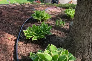 9780 170th St W, Lakeville, MN 55044 - Photo 2