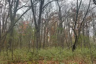 178Xx 50th Ave, Ogilvie, MN 56358 - Photo 1