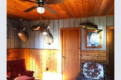 1915 Lynx Island, International Falls, MN 56649 - Photo 4