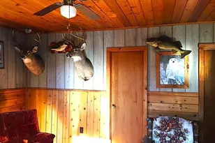 1915 Lynx Island, International Falls, MN 56649 - Photo 4