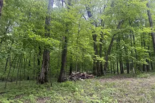 8309 County Rd 19 SE, Rochester, MN 55904 - Photo 24