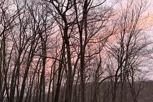 8309 County Rd 19 SE, Rochester, MN 55904 - Photo 24