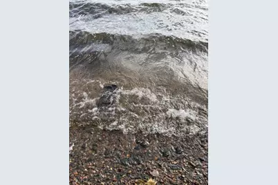 29802 W Shore Drive, Pengilly, MN 55775 - Photo 6