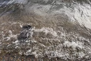 29802 W Shore Dr, Pengilly, MN 55775 - Photo 6