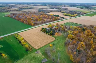 15467 Bison Rd, Swanville, MN 56382 - Photo 34