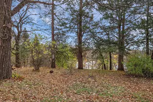 305 1st Ave SE, New London, MN 56273 - Photo 1