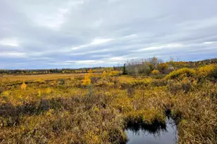 111 Atv Snowmobile Trail Bridge, Blackduck, MN 56630 - Photo 1