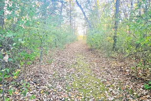 14590 380th St NE, Middle River, MN 56737 - Photo 16