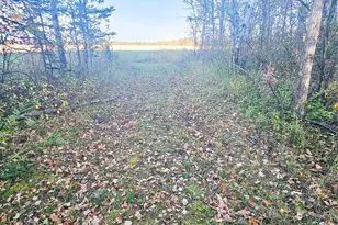 14590 380th St NE, Middle River, MN 56737 - Photo 14