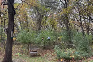 13882 254th Ave NW, Zimmerman, MN 55398 - Photo 18